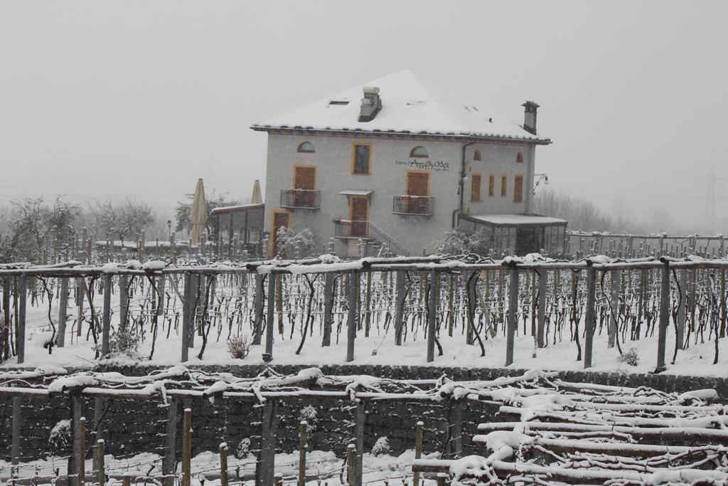 Fattoria L'Amorosa Sementina Eksteriør billede