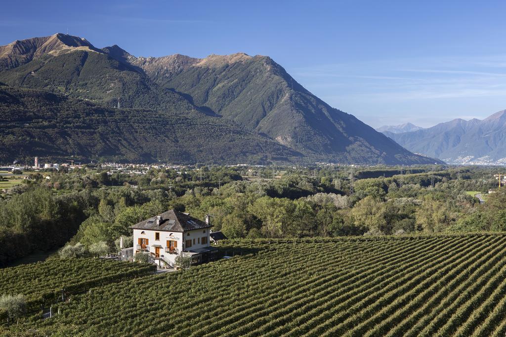 Fattoria L'Amorosa Sementina Eksteriør billede