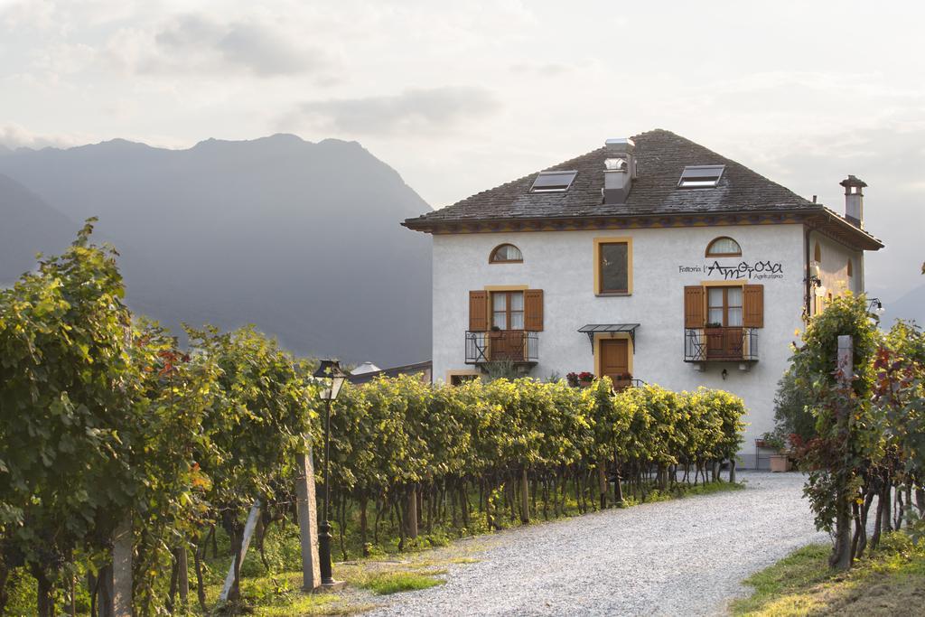 Fattoria L'Amorosa Sementina Eksteriør billede